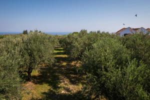 Orionas Village Chania Greece