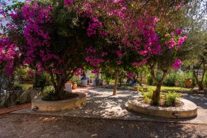 Orionas Village Chania Greece