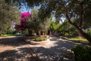 Orionas Village Chania Greece