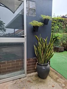 Melrose Garden Cottages - Hibiscus Cottage