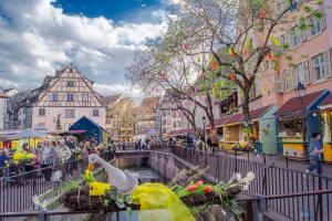 MUNSTER camping de la FECHT