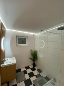 Capsule illusion - Switch 2 - Mons Centre