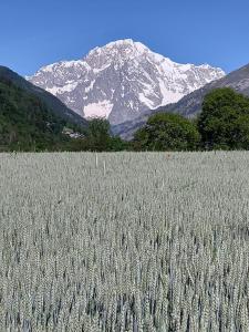 Chambre dHotes Vista Monte Bianco