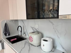 Cozy furnished Brand-New City Center UB Apartment