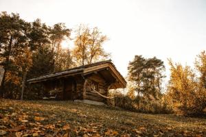 WoodMood Cabin with Spa