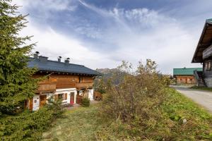 Steinadler Silberleiten