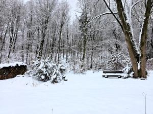 Ferienwohnung "Saba"