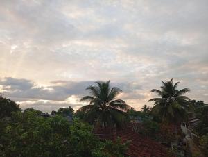 Villa Aloe Vera- Villa Weligama