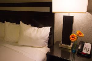 Standard King Room room in Granada Inn