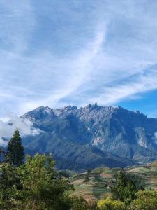 Rosa Homestay