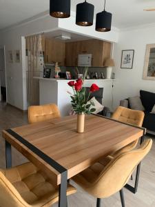 Pals apartament centric