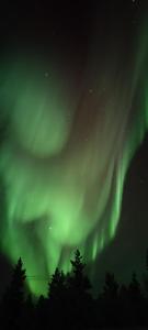 Spacious Modern House for Winter Holiday