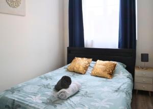 Appartement - parking privé gratuit, proche centre-ville et gare de Saint-Omer