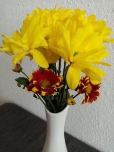 Appartement mit toller Weitsicht auf die Berge