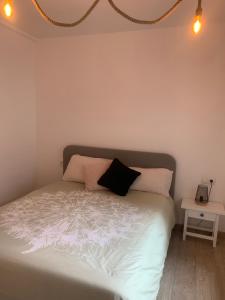 Pals apartament centric