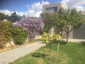 Pikermi garden suite