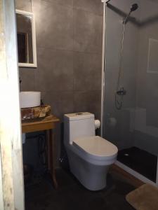 Acogedora y céntrica cabaña con bosque nativo