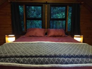 Acogedora y céntrica cabaña con bosque nativo