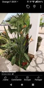 Appartement 3 chambres denia