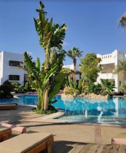 Delta Sharm Relax