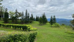 Grand Valleys Campsite at Eco Valley Retreat