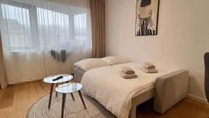 VApartment Nova Vajnorska , private parking