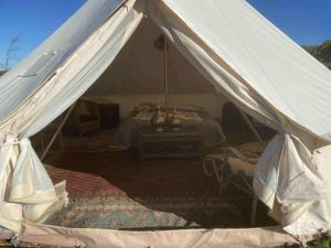 Stenbækgård - Farm Glamping