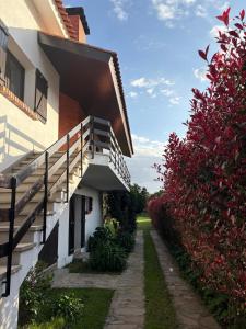 Alma CaloRosa Sea View