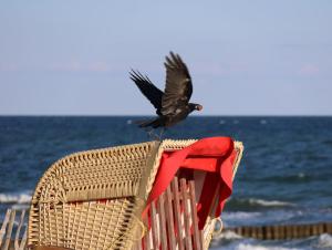 Fairschlafen Boutique Hostel mit Hotelkomfort - Kombüse 1-06 mit Wintergarten