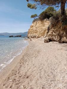 Appartamenti Lentisco - Goelba