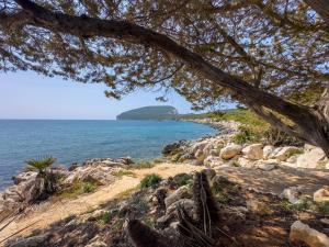 Villa Margherita img2