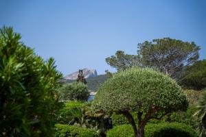 Villa Margherita img28