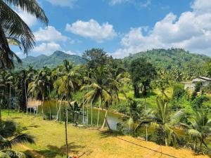 Sinharaja Brook Cabana