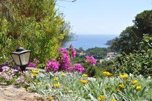 Villa Gualdo piscina vista mare