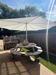 Villa Schorpioen - quiet location in Oostduinkerke