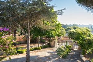 Villa Cinque Pini - Villa for 6 people