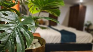 Winngs Studio Suites - Satya Element One, Sector-49, Gurgaon