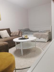 Buto nuoma Plungėje