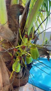 LINDO SOBRADO PERTINHO DA PRAIA - WiFi 600 MEGAS