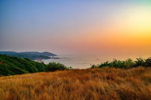 Tims Place Anjuna beach