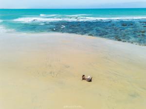 Vila Manguita Suíte Manguita