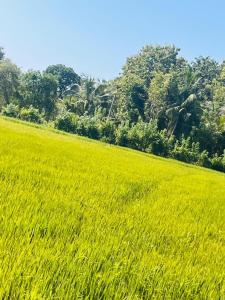 Chamara Heartfelt Homestay