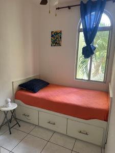 Zona Rosa San Benito 1 cuartito