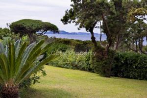 Suite Rea Beachfront - Giardino & Spiaggia Privata