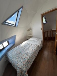 Domo Tiguesitos en Picarte con Parasol