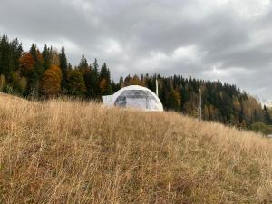 Motyl Glamping Resort