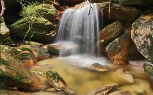 Suite Seichú no Parque Pedra do Sol