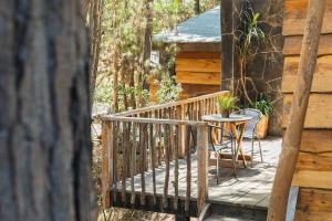 Ruca Lodge, un refugio exclusivo en bosque costero Calma y naturaleza