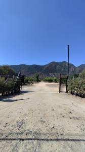 Cabaña nueva en un campo de limones