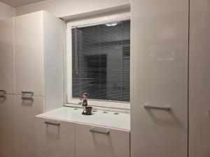 Modern City Apartment